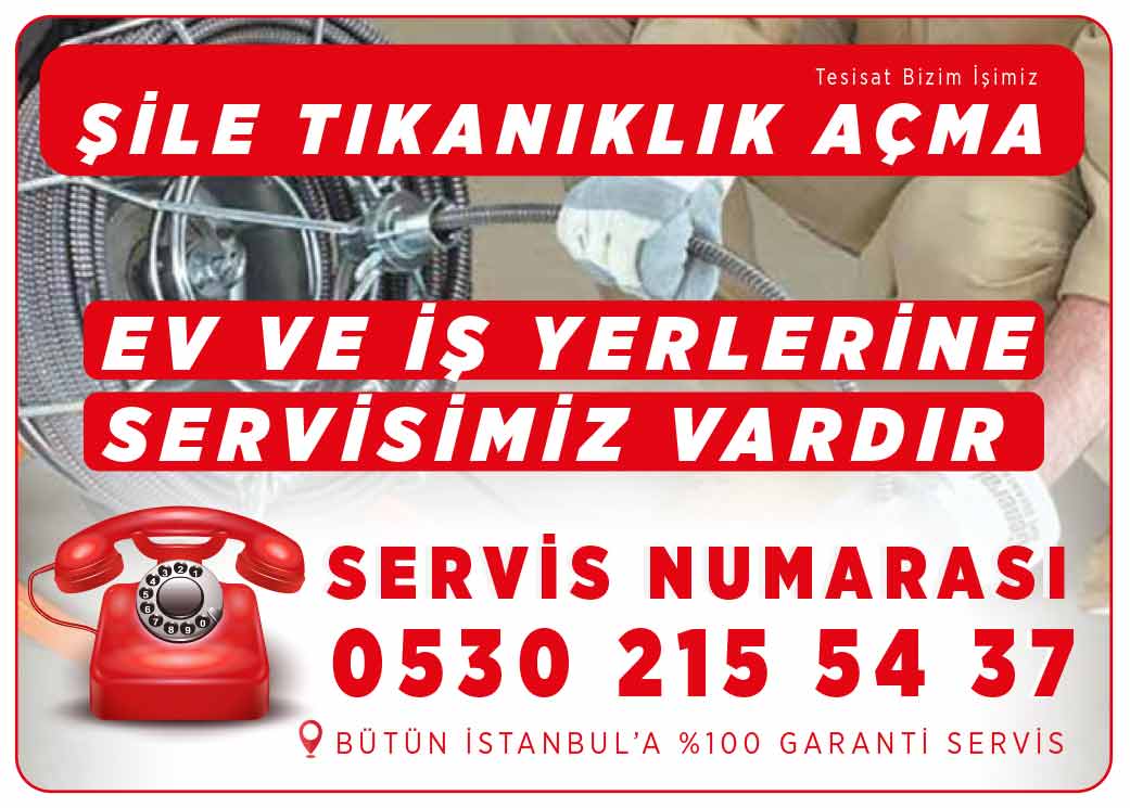 şile tıkanıklık açma